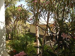 Ferienhaus in Salina Sicca - Cala Liberotto - Sardinien